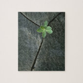 Plant dat in de boulder groeit legpuzzel (Verticaal)