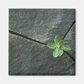 Plant dat in de boulder groeit magneet (Voorkant)