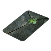Plant dat in de boulder groeit magneet (Linkerzijde)