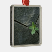 Plant dat in de boulder groeit metalen ornament (Rechts)