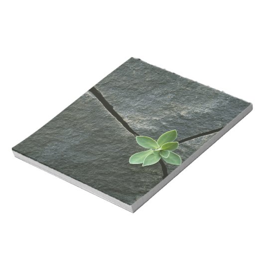 Plant dat in de boulder groeit notitieblok (Linkerzijde)