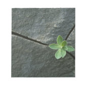 Plant dat in de boulder groeit notitieblok (Voorkant)