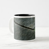 Plant dat in de boulder groeit tweekleurige koffiemok (Voorkant links)