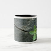 Plant dat in de boulder groeit tweekleurige koffiemok (Center)