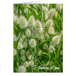 plant-denken van je door een duizelige staart