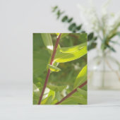 Plant Detail Briefkaart (Staand voorkant)