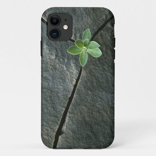 Plant die groeit in gebarsten kei Case-Mate iPhone case (Achterkant)
