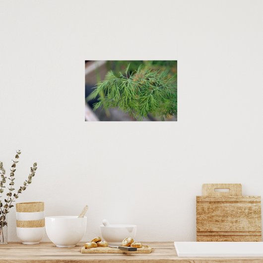 Plant Dill Poster (Keuken)