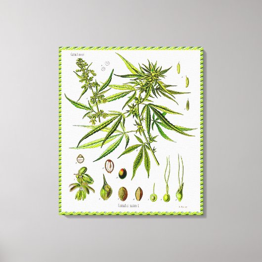 Plant  doek met flessentekening (met vlokafwerking canvas afdruk (Voorkant)