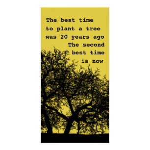 Plant een boom, niet te laat poster