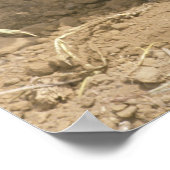 Plant een boom op Aarde Dag Poster (Hoek)