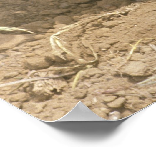 Plant een boom op Aarde Dag Poster (Hoek)