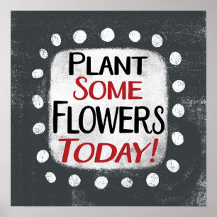 Plant enkele bloemen vandaag Poster Wall Art