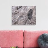 Plant Fossil 350 miljoen jaar. Oud fotoafdrukken Canvas Afdruk (Insitu (Woonkamer))