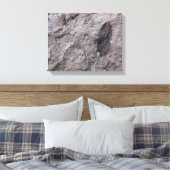 Plant Fossil 350 miljoen jaar. Oud fotoafdrukken Canvas Afdruk (Insitu (Slaapkamer))
