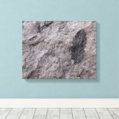 Plant Fossil 350 miljoen jaar. Oud fotoafdrukken Canvas Afdruk (Insitu (Houten vloer))