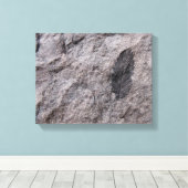 Plant Fossil 350 miljoen jaar. Oud fotoafdrukken Canvas Afdruk (Insitu (Houten vloer))
