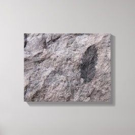 Plant Fossil 350 miljoen jaar. Oud fotoafdrukken Canvas Afdruk