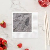 Plant Fossil 350 miljoen JAAR. Oude bedrukte cockt Servetten (Insitu)