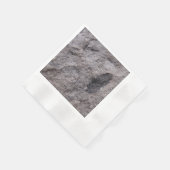 Plant Fossil 350 miljoen JAAR. Oude bedrukte cockt Servetten (Hoek)