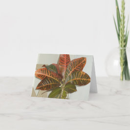 Plant Foto Blanco Kaarten