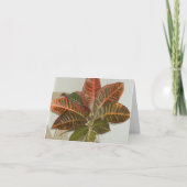 Plant Foto Blanco Kaarten (Voorkant)