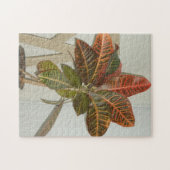 Plant Foto Legpuzzel (Horizontaal)