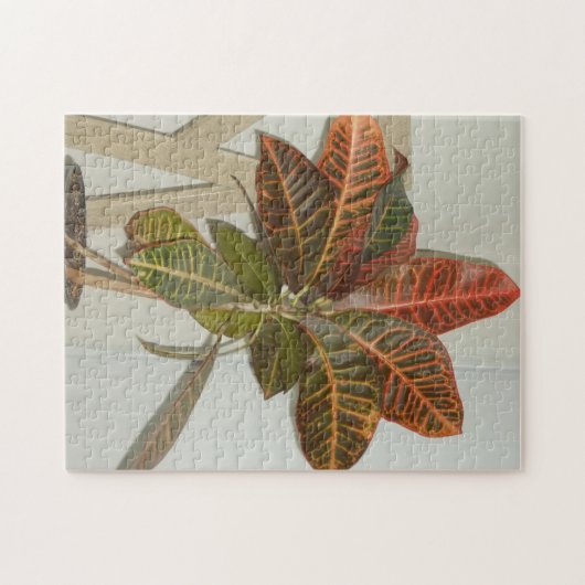 Plant Foto Legpuzzel (Horizontaal)