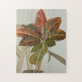 Plant Foto Legpuzzel