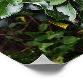 Plant Foto Poster (Hoek)