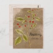 Plant frambozenbriefkaart Briefkaart (Voorkant / Achterkant)