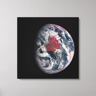 Plant groei op Planet Earth. Canvas Afdruk