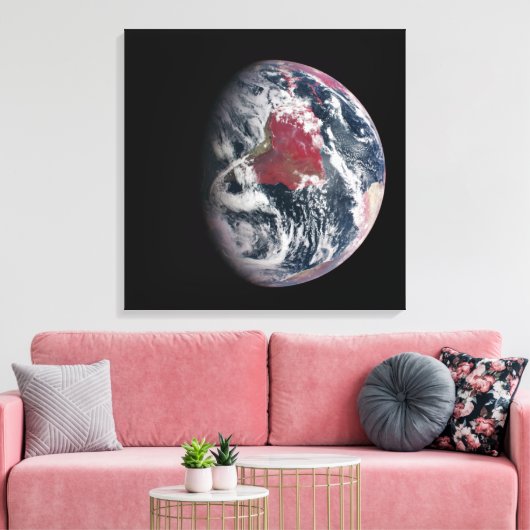Plant groei op Planet Earth. Canvas Afdruk (Insitu (Woonkamer))