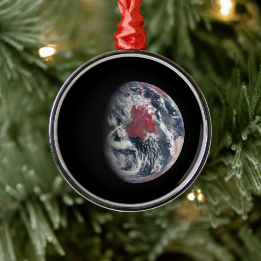 Plant groei op Planet Earth. Metalen Ornament (Boom)