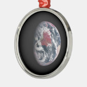 Plant groei op Planet Earth. Metalen Ornament (Links)