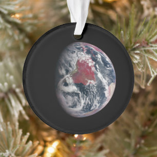 Plant groei op Planet Earth. Ornament