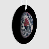 Plant groei op Planet Earth. Ornament (voorkant)