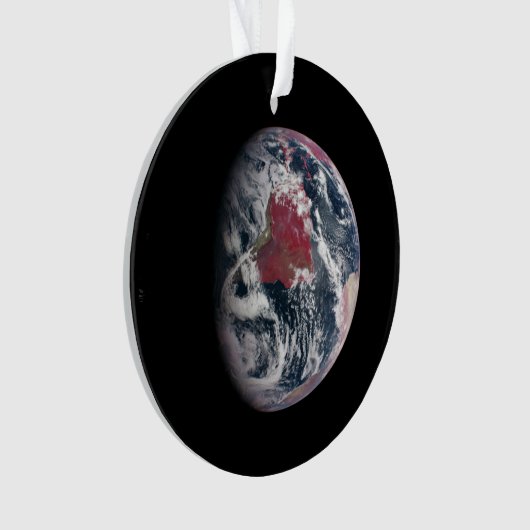 Plant groei op Planet Earth. Ornament (voorkant)