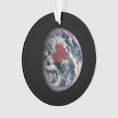 Plant groei op Planet Earth. Ornament (voorkant)