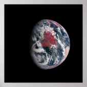 Plant groei op Planet Earth. Poster (Voorkant)