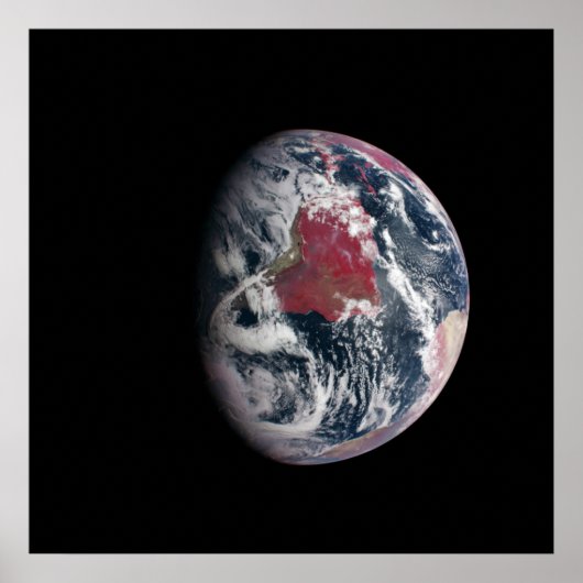 Plant groei op Planet Earth. Poster (Voorkant)