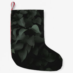 Plant GROEN LEAF Kleine Kerstsok