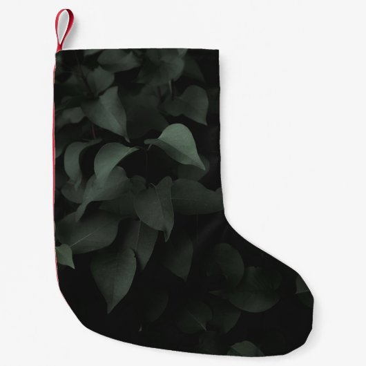 Plant GROEN LEAF Kleine Kerstsok (Voorkant)