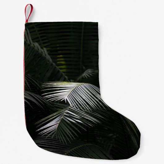 Plant GROEN LEAF Kleine Kerstsok (Voorkant)