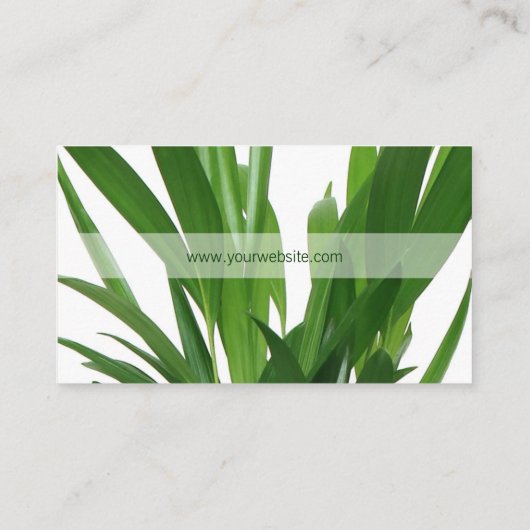 Plant Groene bladeren Visitekaartje (Achterkant)