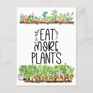 Plant Groente groente Vegetarisch Briefkaart