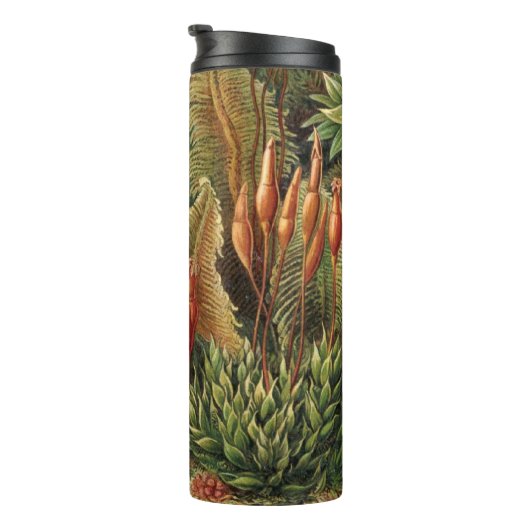  Plant Haeckel Life Thermosbeker (Geroteerd rechts)