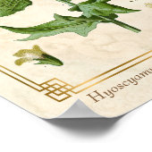  Plant Henbane Herb Botanisch Poster (Hoek)