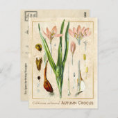  Plant herfst Crocus Botanical Briefkaart (Voorkant / Achterkant)