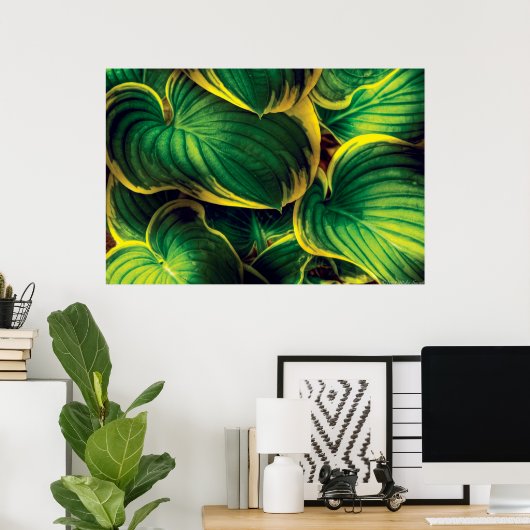 Plant - Hosta Leaves Poster (Thuiskantoor)